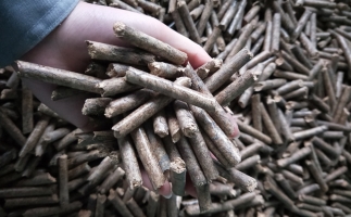 鋸末顆粒機顆粒，一種快速增長的能源載體