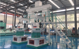 木屑顆粒機多少錢一臺?建顆粒廠大約多少錢？