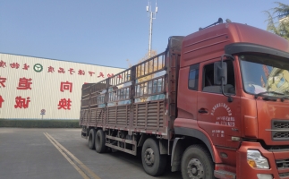忙碌的五月，忙碌的發(fā)貨，金格瑞顆粒機(jī)生產(chǎn)線發(fā)往全國各地