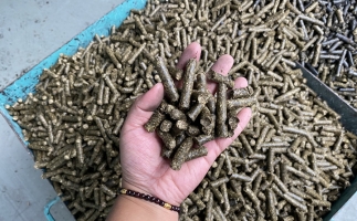 木屑顆粒機(jī)廠家告訴你生物質(zhì)顆粒燃料燃燒不充分的問題，該如何解決?