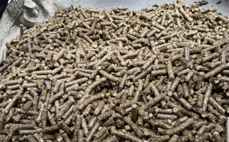 為什么很多人想了解木屑顆粒機(jī)加工的燃料顆粒作用？