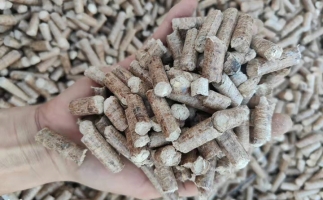 木材加工廠木屑堆積如山，環(huán)保部門令趕緊處理怎么辦？有它就夠了