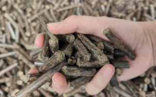煤炭熱值那么高，為什么還要燒鋸末顆粒機的生物質(zhì)顆粒燃料？