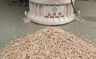 木屑顆粒機(jī)加工環(huán)保燃料顆粒，用綠色昭示未來(lái)