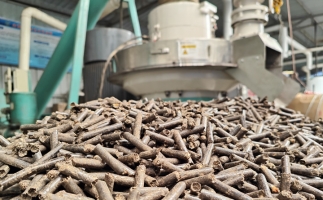 村里的廢木頭 農(nóng)作物秸稈怎么辦？有木屑顆粒機(jī)，好解決